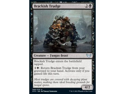 Brackish Trudge