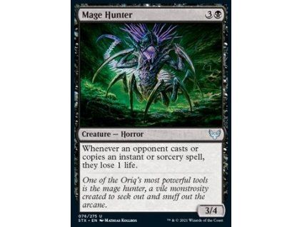 Mage Hunter