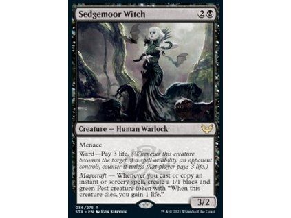 Sedgemoor Witch