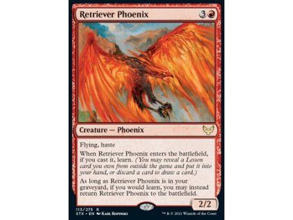 Retriever Phoenix