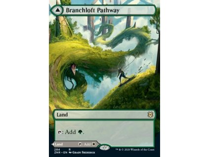 Branchloft Pathway - Borderless