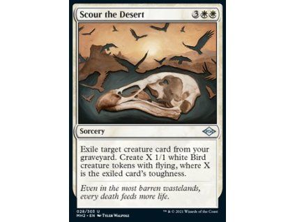 Scour the Desert
