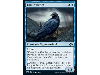 Foul Watcher