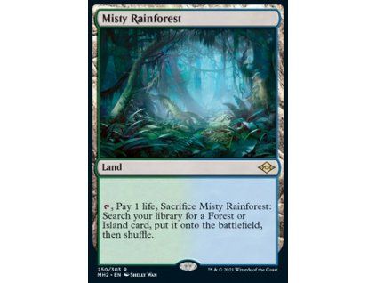 Misty Rainforest