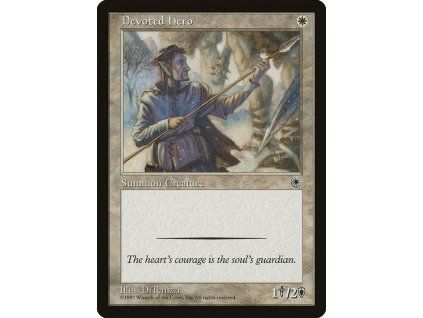 Devoted Hero