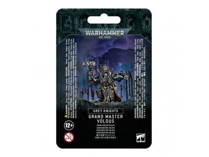 Warhammer 40,000 — Grey Knights Grand Master Voldus