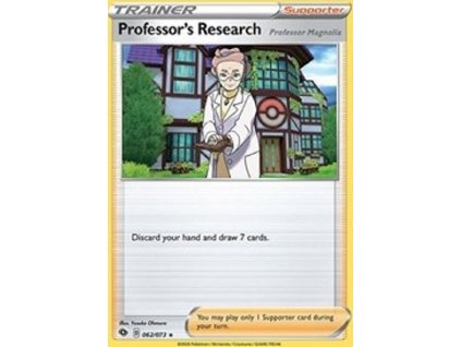 Professor's Research