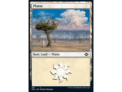 Plains