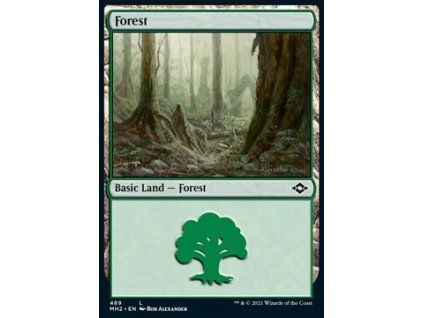 Forest