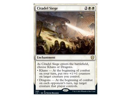 Citadel Siege