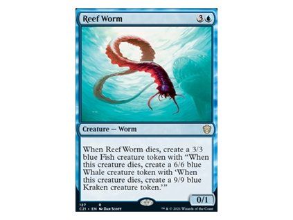 Reef Worm