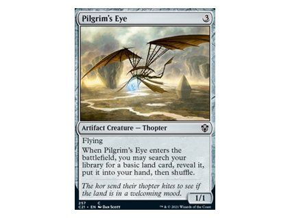 Pilgrim's Eye