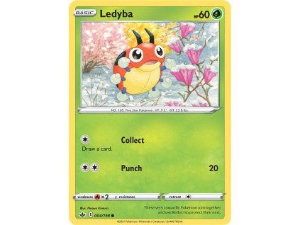 Ledyba
