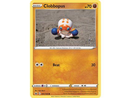 Clobbopus