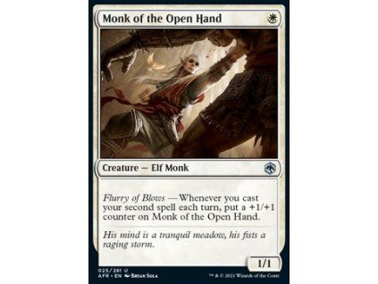 Monk of the Open Hand