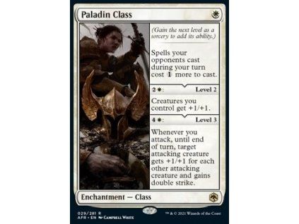 Paladin Class