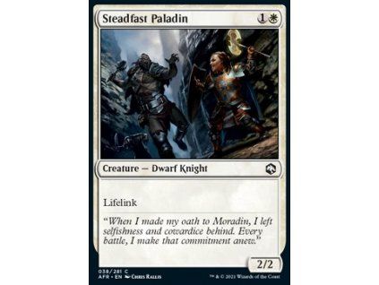 Steadfast Paladin