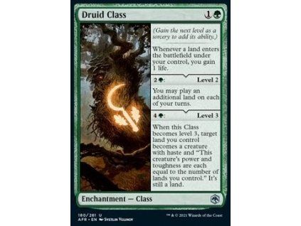 Druid Class