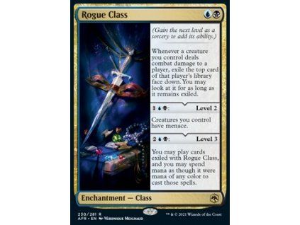 Rogue Class
