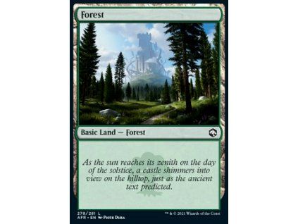 Forest