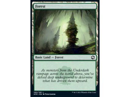 Forest