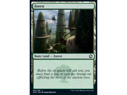 Forest