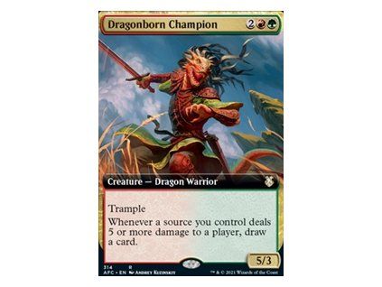 Dragonborn Champion