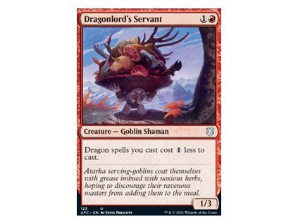Dragonlord's Servant