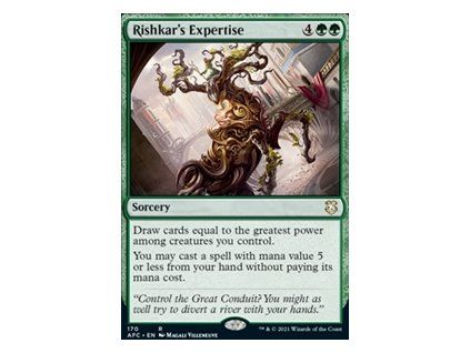 Rishkar's Expertise