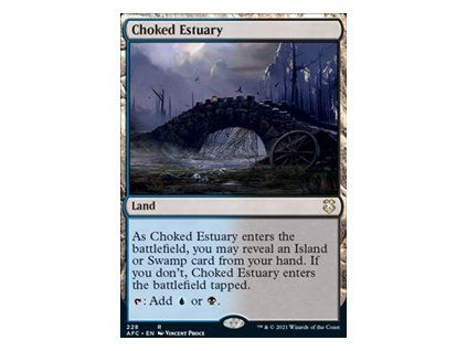 Choked Estuary