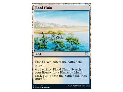 Flood Plain