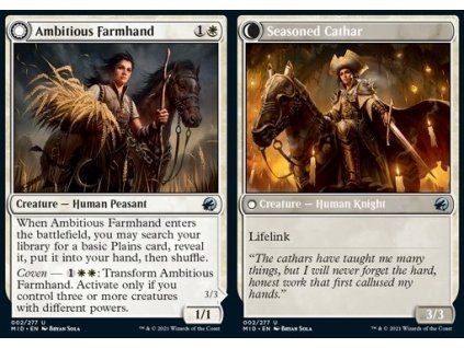 Ambitious Farmhand // Seasoned Cathar