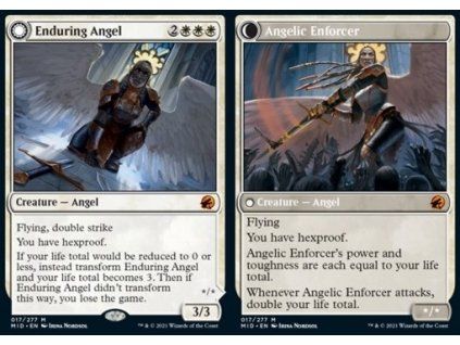 Enduring Angel // Angelic Enforcer