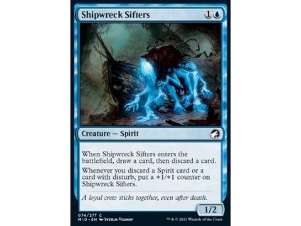 Shipwreck Sifters