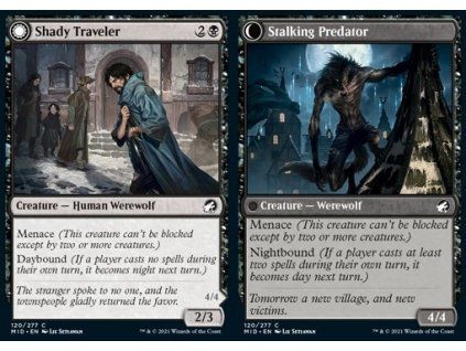 Shady Traveler // Stalking Predator