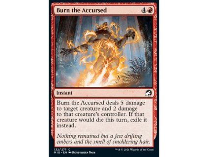 Burn the Accursed