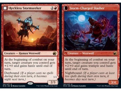 Reckless Stormseeker // Storm-Charged Slasher