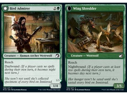 Bird Admirer // Wing Shredder
