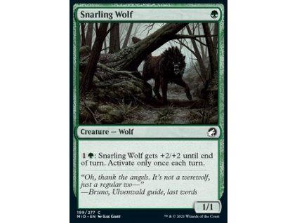 Snarling Wolf