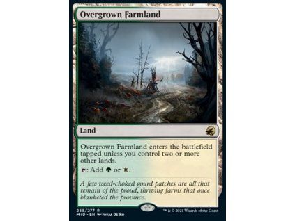 Overgrown Farmland