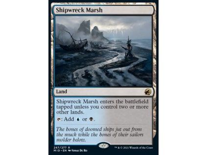 Shipwreck Marsh