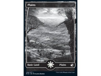 Plains - Full Art