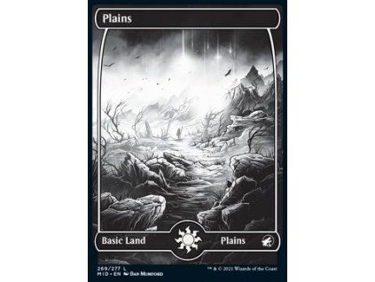 Plains - Full Art