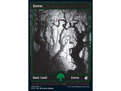 Forest - Full Art