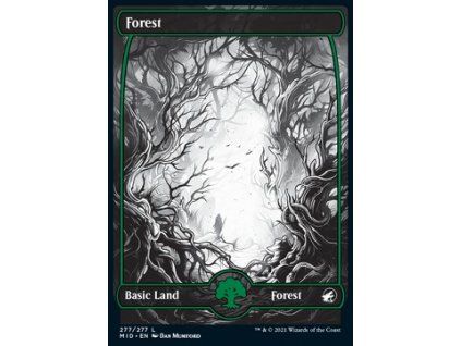 Forest - Full Art
