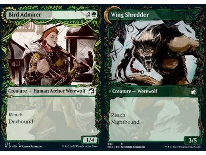 Bird Admirer // Wing Shredder - showcase