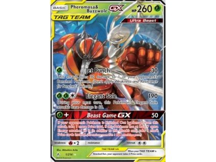 Pheromosa & Buzzwole GX