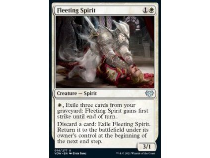 Fleeting Spirit