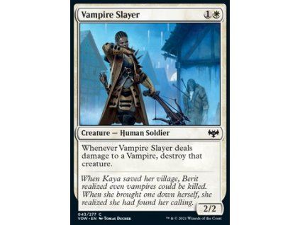 Vampire Slayer