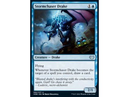 Stormchaser Drake
